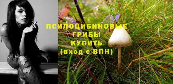 ECSTASY Бородино