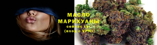 ECSTASY Бородино