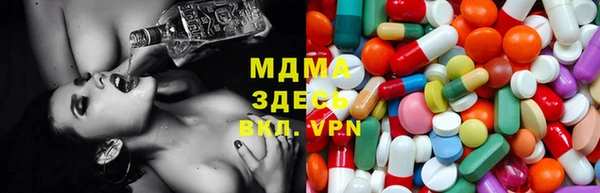 ECSTASY Бородино