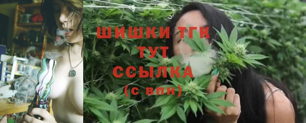 ECSTASY Бородино