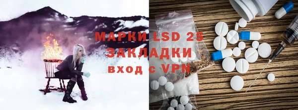 ECSTASY Бородино