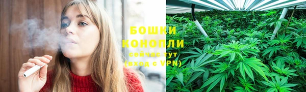 индика Семёнов