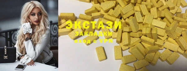 ECSTASY Бородино